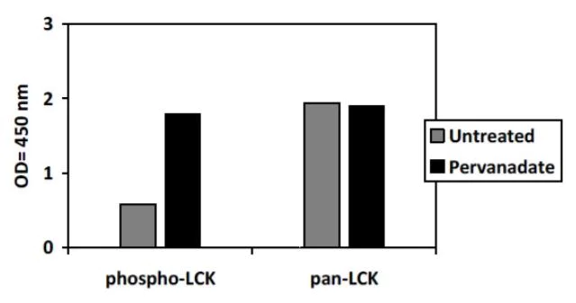 Sandwich ELISA - Phospho-Lck (Y394) and Total Lck ELISA Kit (AB279849)
