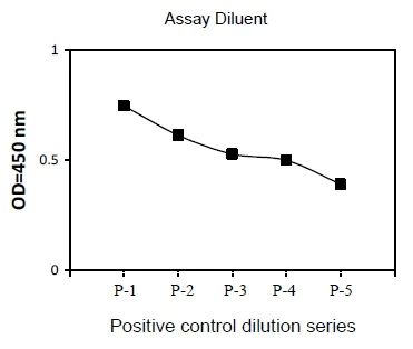 Sandwich ELISA - Phospho-Lck (Y394) ELISA Kit (AB279848)