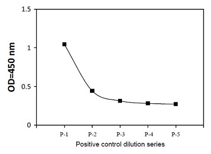 Sandwich ELISA - Phospho-LKB1 (S428) ELISA Kit (AB279850)