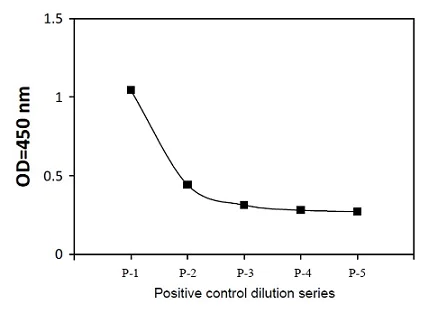 Sandwich ELISA - Phospho-LKB1 (S428) ELISA Kit (AB279850)