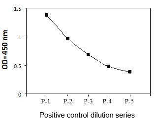 Sandwich ELISA - Phospho-MEK3 (S189) ELISA Kit (AB279860)