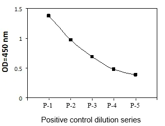 Sandwich ELISA - Phospho-MEK3 (S189) ELISA Kit (AB279860)