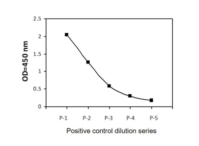 Sandwich ELISA - Phospho-MLKL (S345) and Total MLKL ELISA Kit (AB279863)