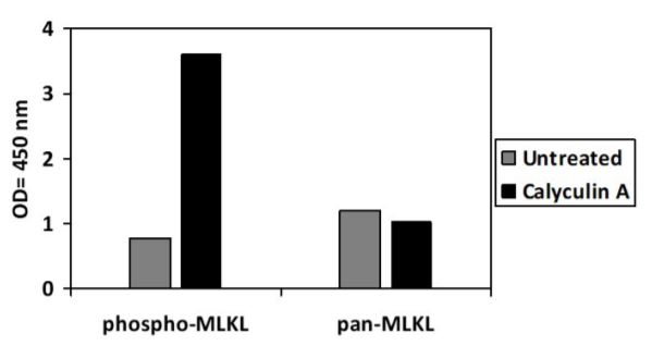 Sandwich ELISA - Phospho-MLKL (S345) and Total MLKL ELISA Kit (AB279863), expandable thumbnail