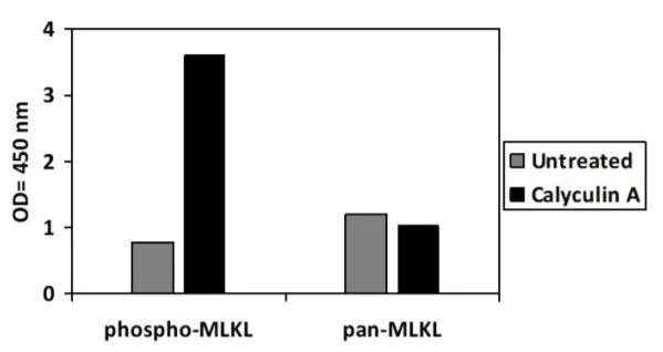 Sandwich ELISA - Phospho-MLKL (S345) ELISA Kit (AB279862)