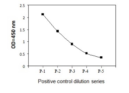 Sandwich ELISA - Phospho-MSK2 / RSK-B (S360) and Total MSK2 / RSK-B ELISA Kit (AB279867)