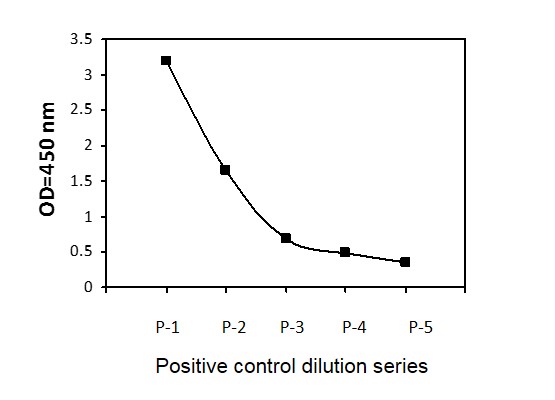 Sandwich ELISA - Phospho-mTOR (S2448) ELISA Kit (AB279868)