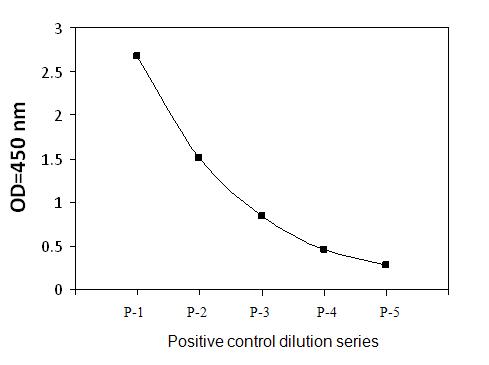 Sandwich ELISA - Phospho-NAK/TBK1 (S172) ELISA Kit (AB279952)