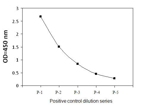 Sandwich ELISA - Phospho-NAK/TBK1 (S172) ELISA Kit (AB279952)