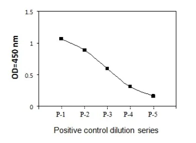 Sandwich ELISA - Phospho-NF-kB p65 (S536) and Total NF-kB p65 ELISA Kit (AB279874)