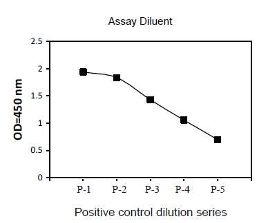 Sandwich ELISA - Phospho-p53 (S15) ELISA Kit (AB279877)