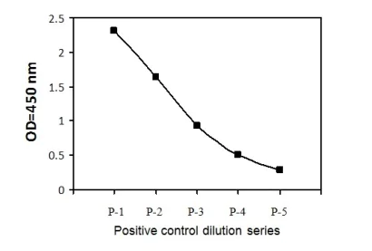 Sandwich ELISA - Phospho-p95/NBS1 (S343) and Total p95/NBS1 ELISA Kit (AB279872)