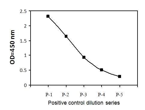 Sandwich ELISA - Phospho-p95/NBS1 (S343) ELISA Kit (AB279871)