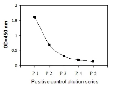 Sandwich ELISA - Phospho-PAK2 (S20) and Total PAK2 ELISA Kit (AB279883)