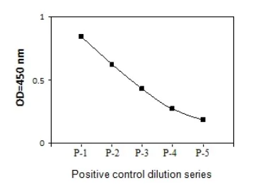 Sandwich ELISA - Phospho-PDGFR beta (Y751) and Total PDGFR beta ELISA Kit (AB279887)