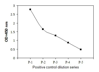 Sandwich ELISA - Phospho-PDK1 (S241) and Total PDK1 ELISA Kit (AB279889)