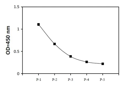 Sandwich ELISA - Phospho-PKMYT1 (T495) and Total PKMYT1 ELISA Kit (AB279891)