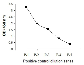 Sandwich ELISA - Phospho-PLCG 2 (Y753) ELISA Kit (AB279894)