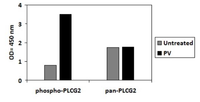 Sandwich ELISA - Phospho-PLCG 2 (Y753) ELISA Kit (AB279894), expandable thumbnail