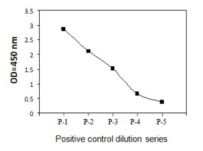 Sandwich ELISA - Phospho-PTEN (S380) and Total PTEN ELISA Kit (AB279899), expandable thumbnail