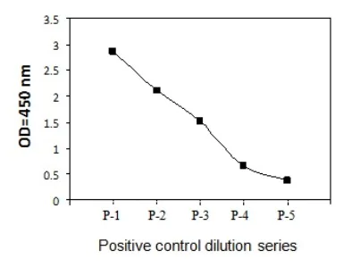 Sandwich ELISA - Phospho-PTEN (S380) and Total PTEN ELISA Kit (AB279899)