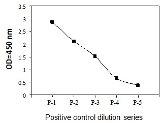 Sandwich ELISA - Phospho-PTEN (S380) ELISA Kit (AB279898)
