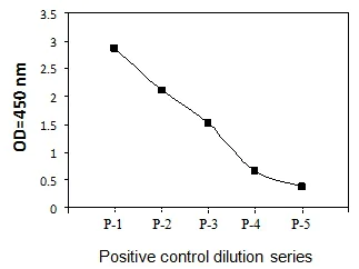 Sandwich ELISA - Phospho-PTEN (S380) ELISA Kit (AB279898)