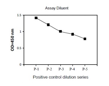 Sandwich ELISA - Phospho-PYK2 (Y402) and Total PYK2 ELISA Kit (AB279902), expandable thumbnail