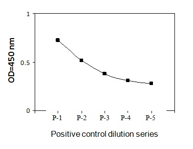 Sandwich ELISA - Phospho-Raf1 (S301) ELISA Kit (AB279903)