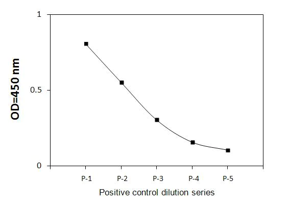 Sandwich ELISA - Phospho-Rb (T826) ELISA Kit (AB279905)