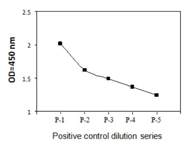 Sandwich ELISA - Phospho-RSK1 p90 (S380) and Total RSK1 p90 ELISA Kit (AB279915)