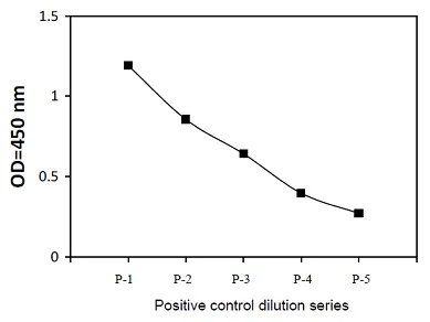 Sandwich ELISA - Phospho-RSK2 (S386) ELISA Kit (AB279916)
