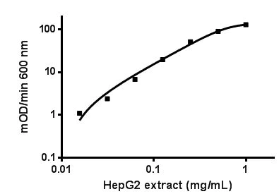 ELISA - Phospho S232 PDH E1 alpha protein (PDHA1) Profiling ELISA Kit (AB115343)