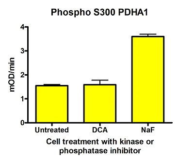 Functional Studies - Phospho S300 PDH E1 alpha protein (PDHA1) Profiling ELISA Kit (AB115345)