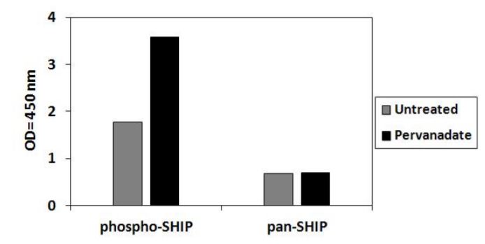 Sandwich ELISA - Phospho-SHIP-1 (Y1020) and Total SHIP-1 ELISA Kit (AB279922), expandable thumbnail