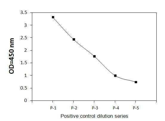 Sandwich ELISA - Phospho-SHIP-1 (Y1020) ELISA Kit (AB279921)