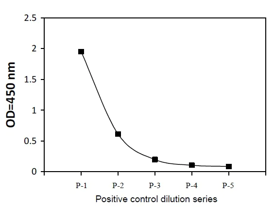 Sandwich ELISA - Phospho-SHP-1 (S591) ELISA Kit (AB279923)