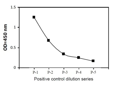 Sandwich ELISA - Phospho-SLC7A5/LAT1 (Y161) and Total SLC7A5/LAT1 ELISA Kit (AB279846)