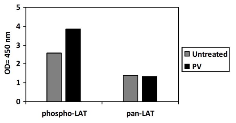 Sandwich ELISA - Phospho-SLC7A5/LAT1 (Y161) and Total SLC7A5/LAT1 ELISA Kit (AB279846), expandable thumbnail