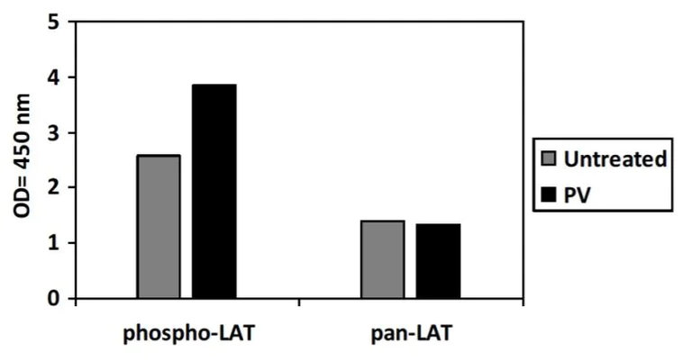 Sandwich ELISA - Phospho-SLC7A5/LAT1 (Y161) and Total SLC7A5/LAT1 ELISA Kit (AB279846)