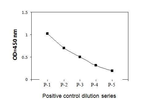 Sandwich ELISA - Phospho-Smad1 (S463/465) ELISA Kit (AB279927)