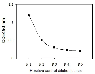 Sandwich ELISA - Phospho-Smad4 (T277) ELISA Kit (AB279931)