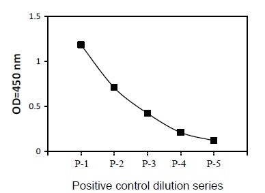 Sandwich ELISA - Phospho-SMAD5 (S463/465) and Total SMAD5 ELISA Kit (AB279934)