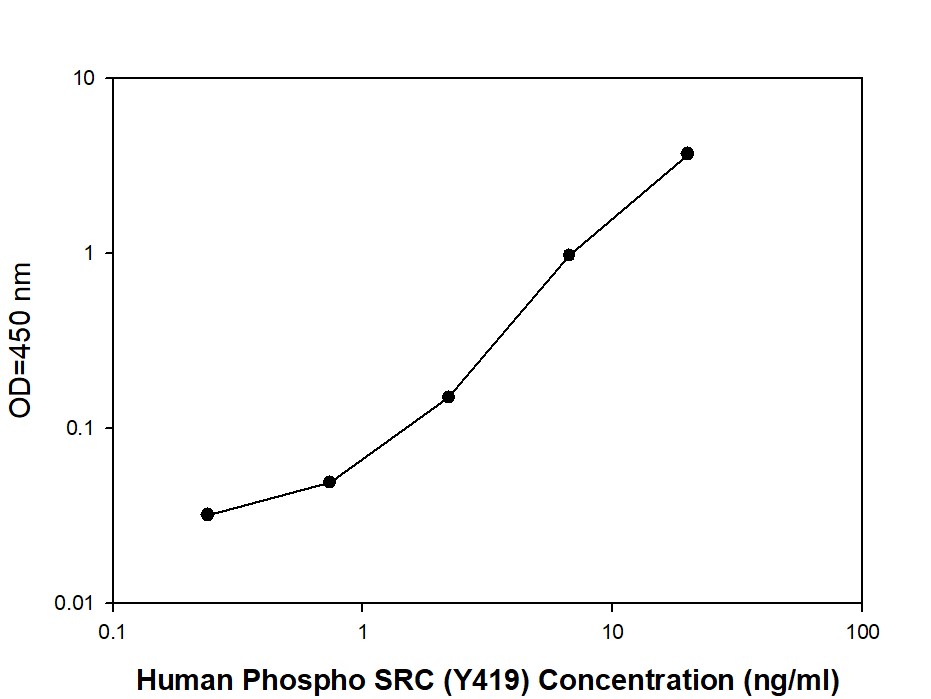 Sandwich ELISA - Phospho-Src (Y419) Quantitative ELISA Kit (AB279937), expandable thumbnail