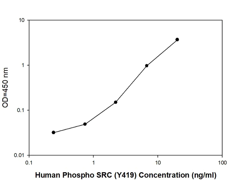 Sandwich ELISA - Phospho-Src (Y419) Quantitative ELISA Kit (AB279937)