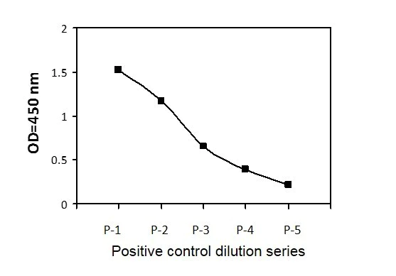 Sandwich ELISA - Phospho-STAT2 (Y689) and Total STAT2 ELISA Kit (AB279940)