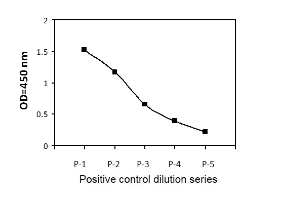 Sandwich ELISA - Phospho-STAT2 (Y689) ELISA Kit (AB279939)