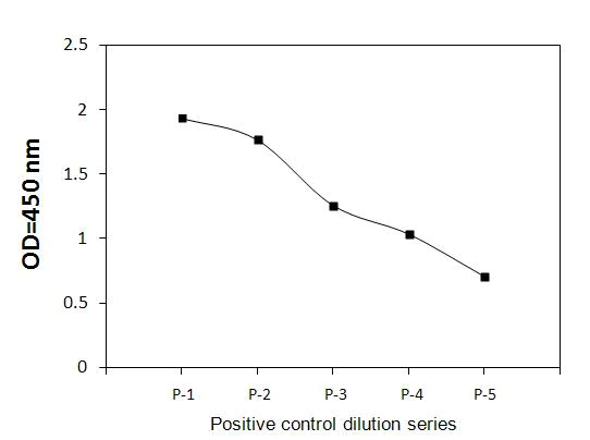 Sandwich ELISA - Phospho-STAT5a (Y694) ELISA Kit (AB279943)