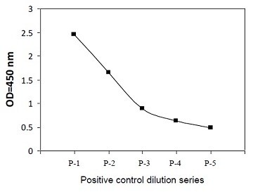 Sandwich ELISA - Phospho-TAK1 (S412) and Total TAK1 ELISA Kit (AB279951)
