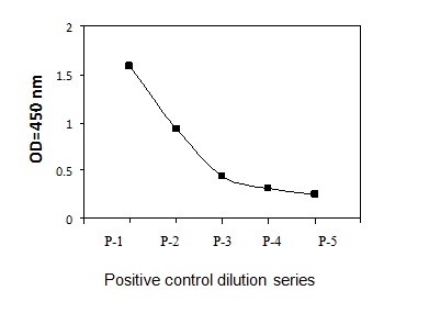 Sandwich ELISA - Phospho-ZAP70 (Y493) ELISA Kit (AB279971)